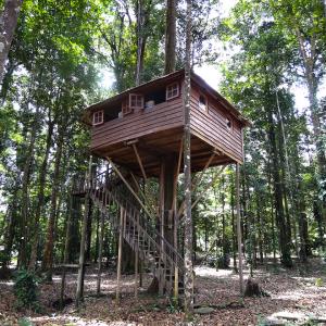 camp-tresor—CTG camp-tresor