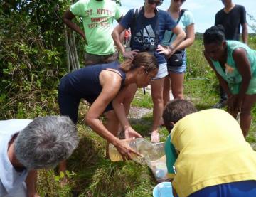 Comment installer un aquarium naturel de biotope Guyanais 