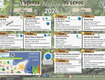 Agenda nature GEPOG mai - juin 