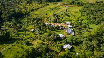 Balisiers-Village-Nature-