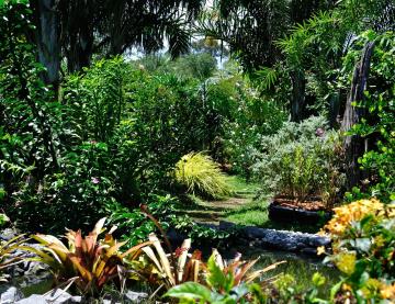 Jardin botanique de Guyane 1 