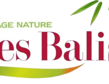 Logo-Les-Balisiers-Logo-Les-Balisiers-2 