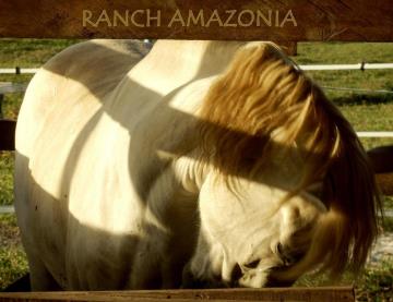 ranch amazonia 